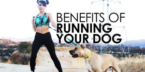 The Benefits of Running with Dogs