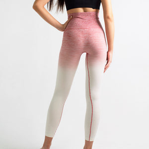 Guava Pink Shaping Ombre Workout Leggings